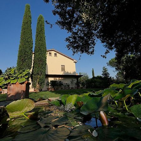 Agriturismo Le Vallette ビッボーナ エクステリア 写真