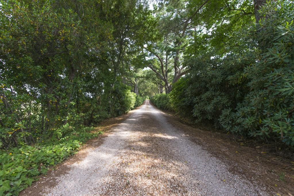 Agriturismo Le Vallette ビッボーナ エクステリア 写真