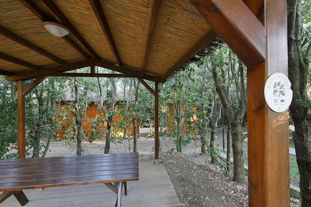 Agriturismo Le Vallette ビッボーナ エクステリア 写真