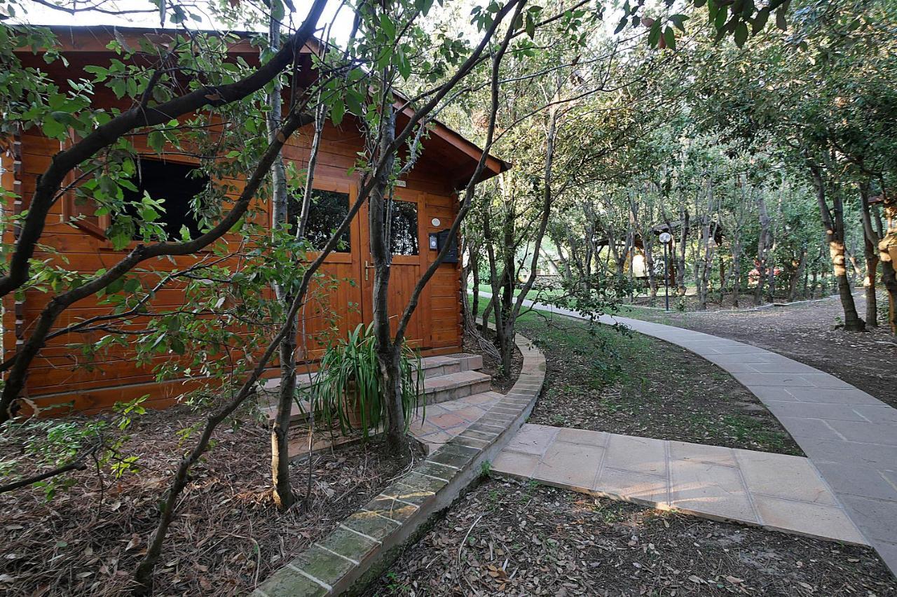 Agriturismo Le Vallette ビッボーナ エクステリア 写真